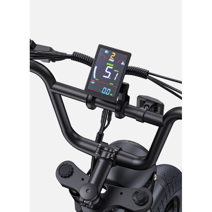 Bicicleta eléctrica tipo moto ENGWE M1
