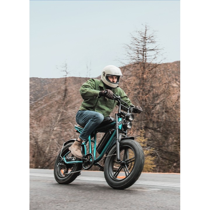 Bicicleta eléctrica tipo moto ENGWE M20