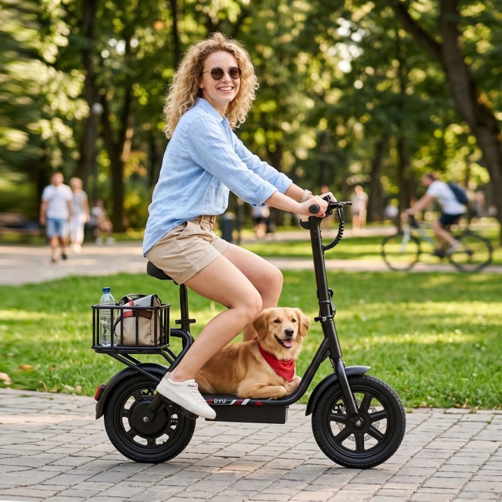 Mini bicicleta eléctrica plegable de 14" con portaequipajes – DYU C4 Mini – 2