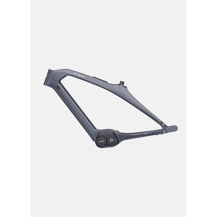 ENGWE N1 Pro