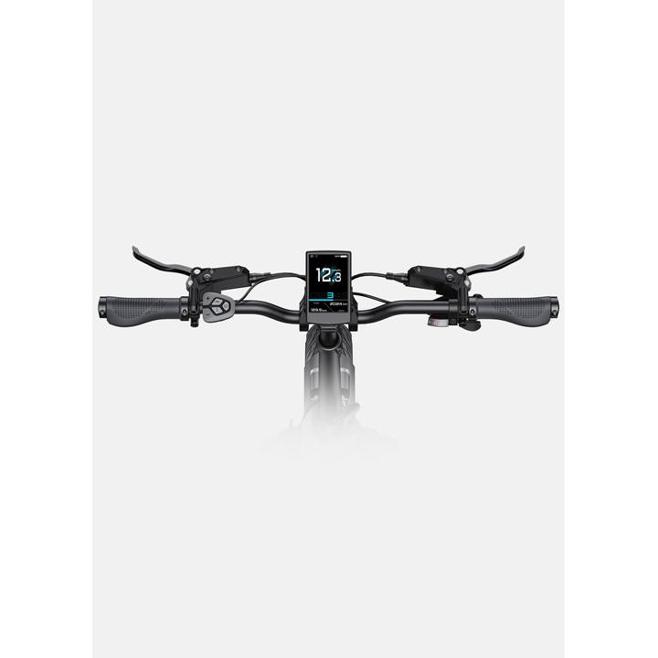 Bicicleta eléctrica plegable con motor central ENGWE L20 3.0 Pro