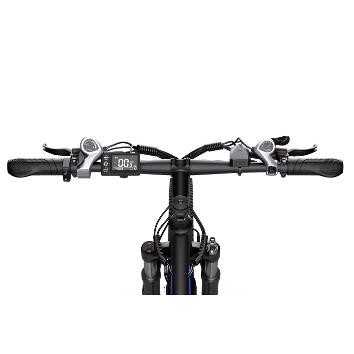 Electric bike DUOTTS C29