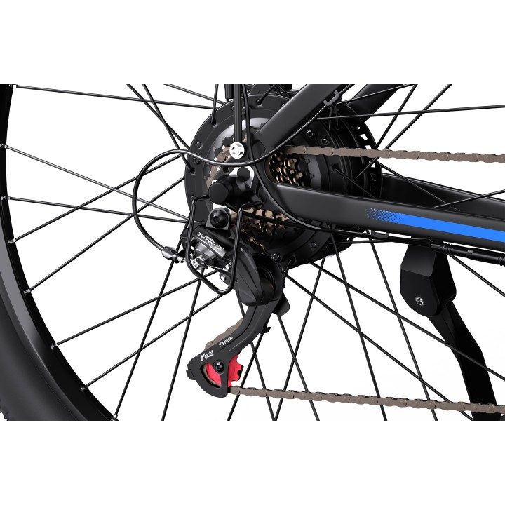 Bicicleta eléctrica DUOTTS C29