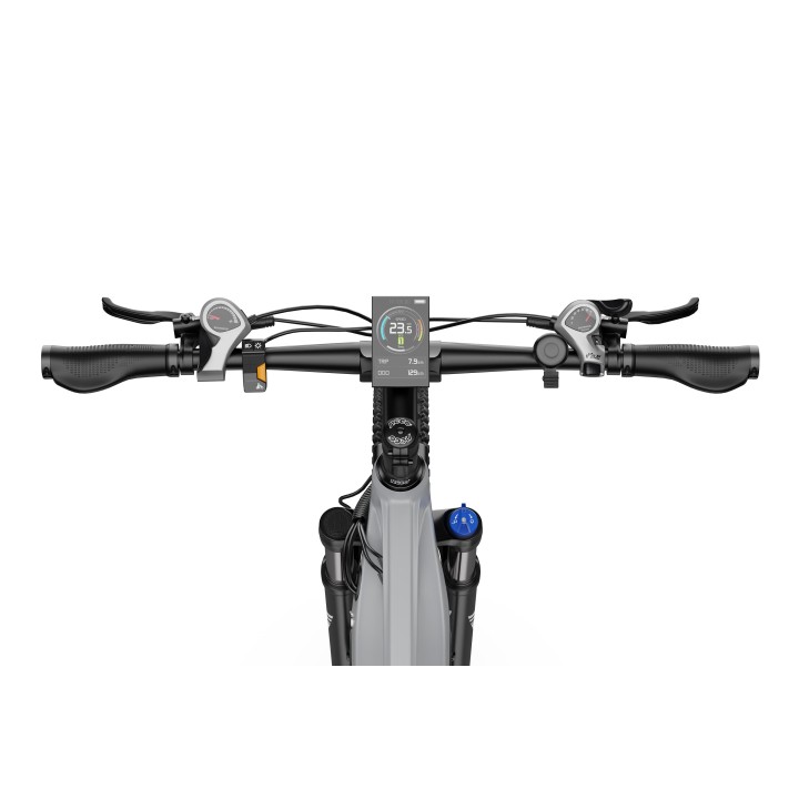 Electric bike DUOTTS E29