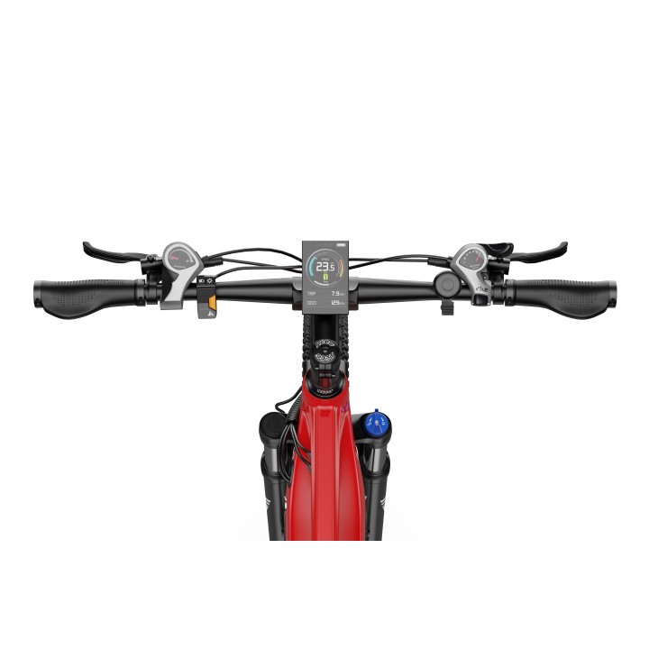 Bicicleta eléctrica DUOTTS E29
