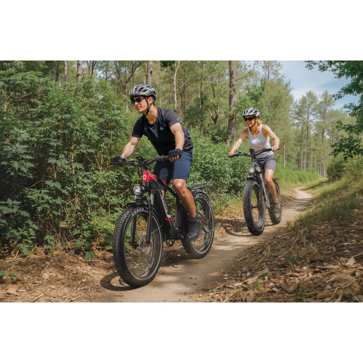 Bicicleta eléctrica DUOTTS F26Lite