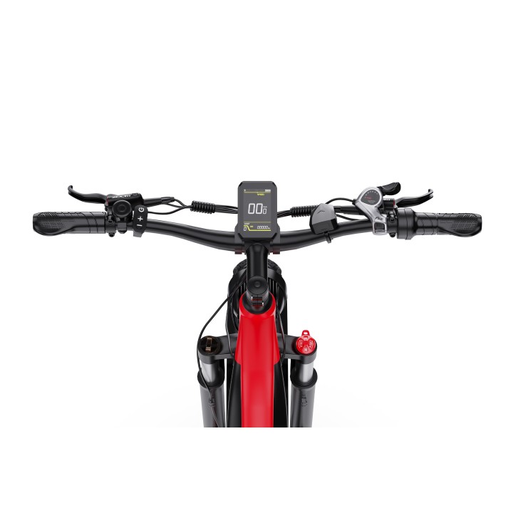 Electric bike DUOTTS F26Lite