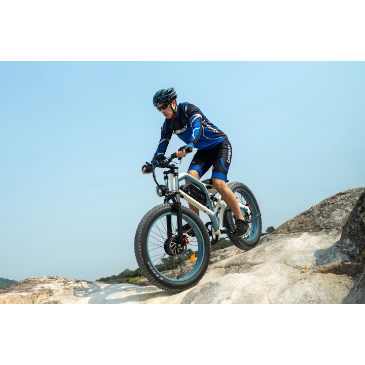Electric bike DUOTTS N26
