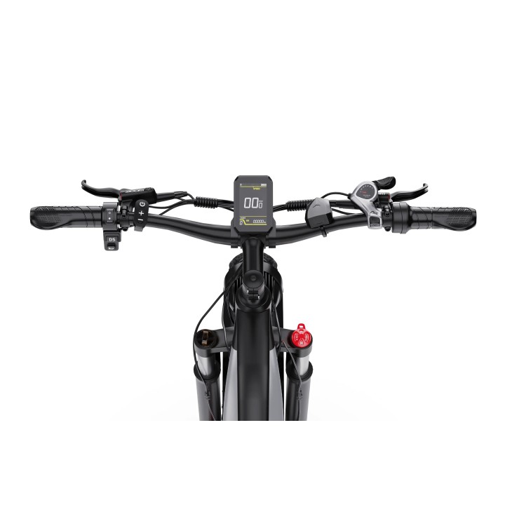 Electric bike DUOTTS F26