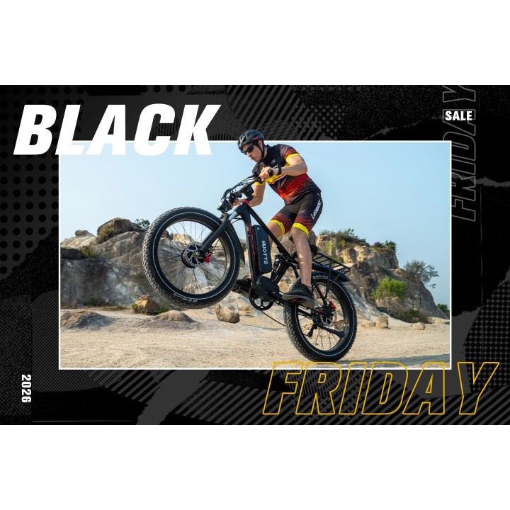 Electric bike DUOTTS S26