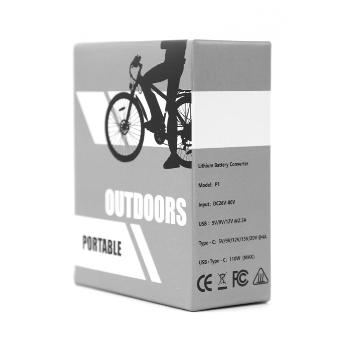 Convertidor de batería DUOTTS
