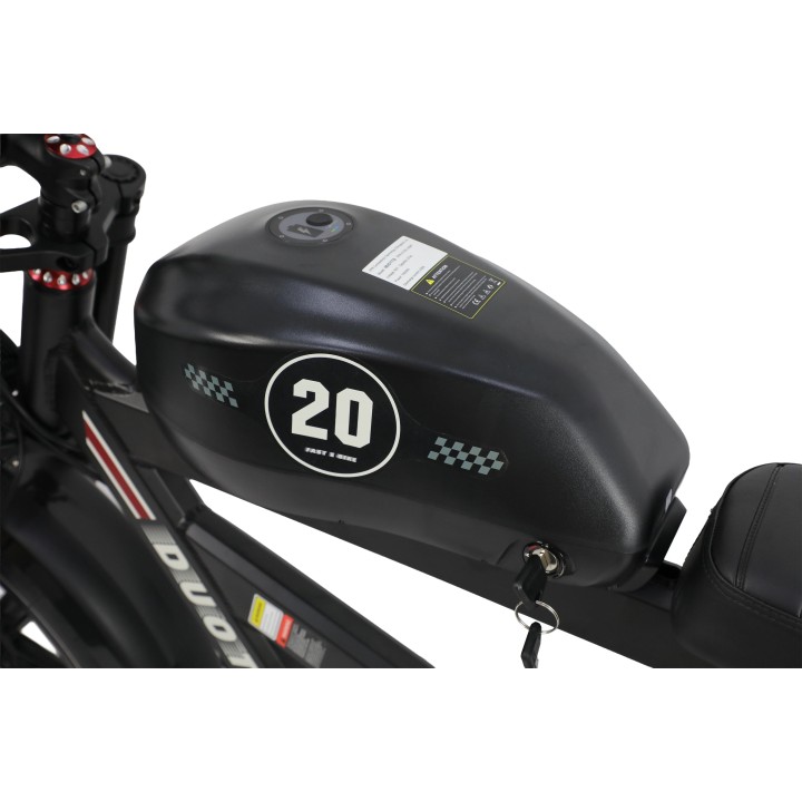 F20 Battery