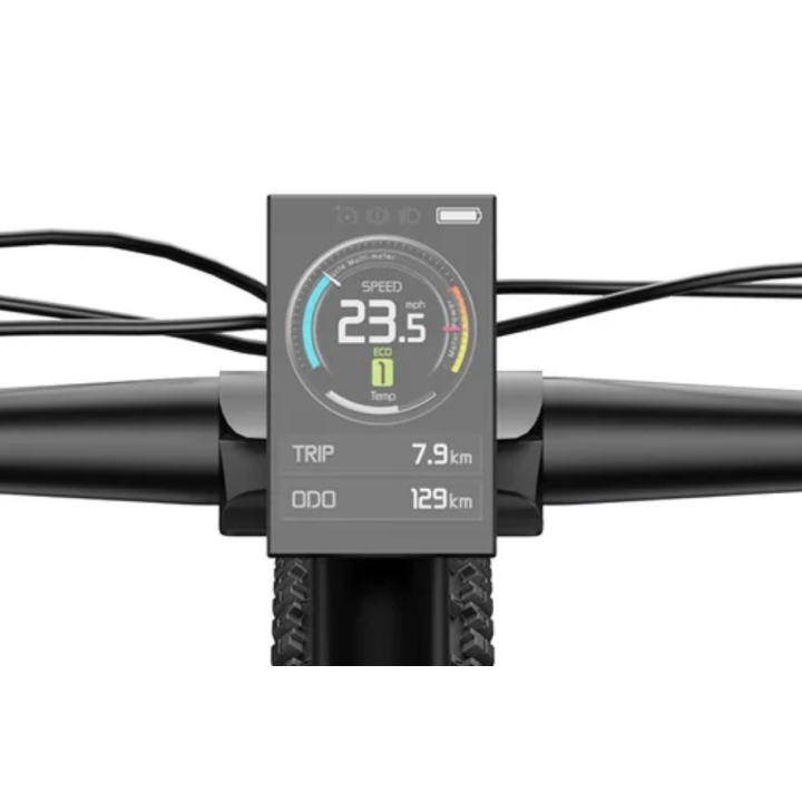 DUOTTS E-bike Display & Switch