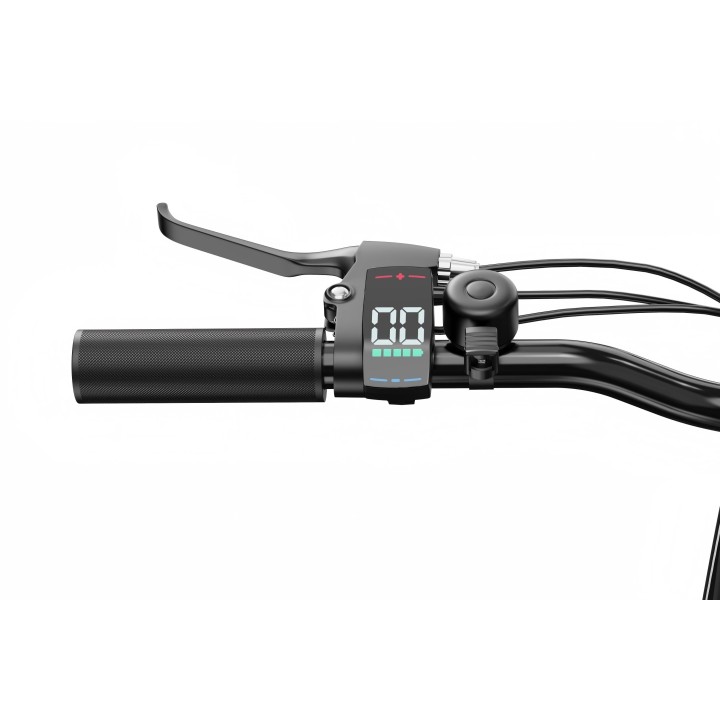 DUOTTS E-bike Display & Switch