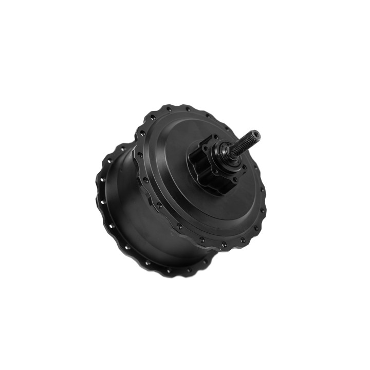 DUOTTS E-bike 750W Motor